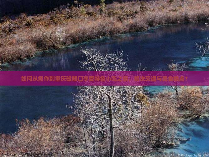 如何从焦作到重庆磁器口享受特色小吃之旅，解决交通与美食痛点？