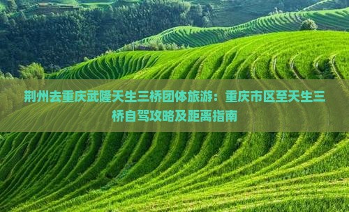 荆州去重庆武隆天生三桥团体旅游：重庆市区至天生三桥自驾攻略及距离指南