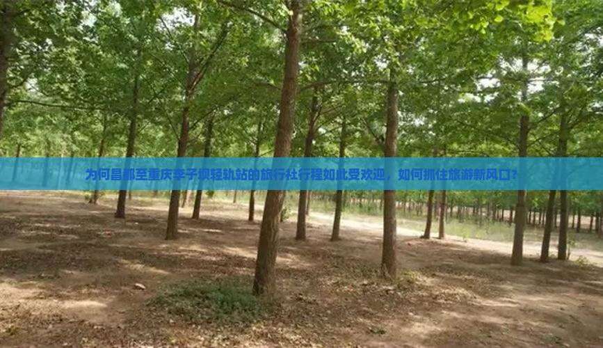 为何昌都至重庆李子坝轻轨站的旅行社行程如此受欢迎，如何抓住旅游新风口？