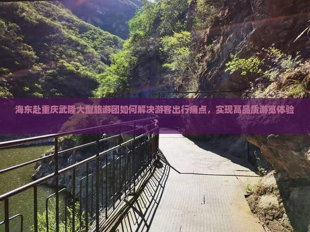海东赴重庆武隆大型旅游团如何解决游客出行痛点，实现高品质游览体验？