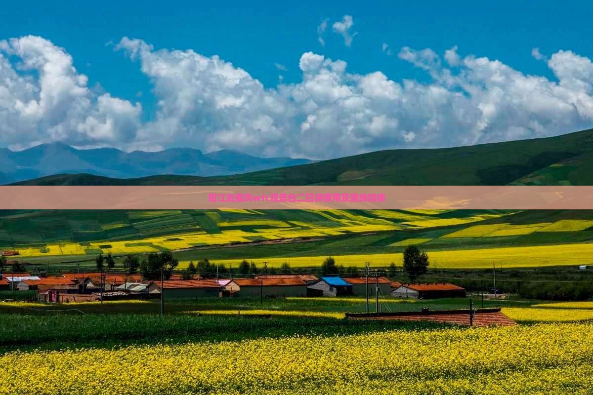 阳江去重庆wfc观景台二日游费用及路线指南