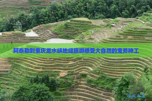 阿泰勒到重庆龙水峡地缝旅游感受大自然的鬼斧神工