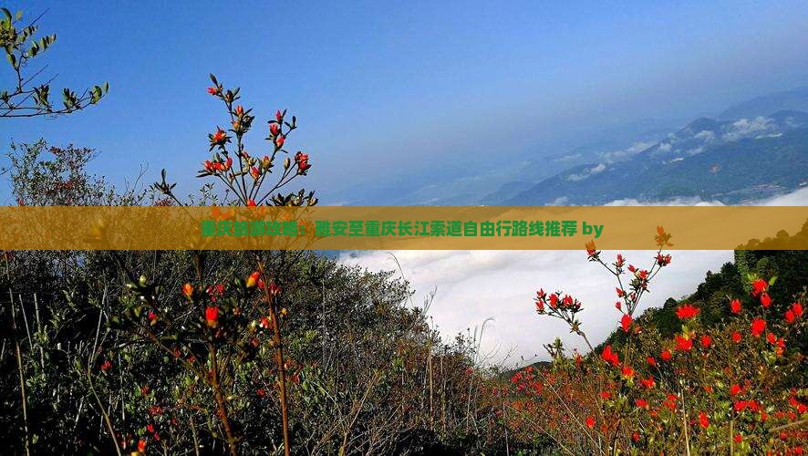 重庆旅游攻略：雅安至重庆长江索道自由行路线推荐 by 
