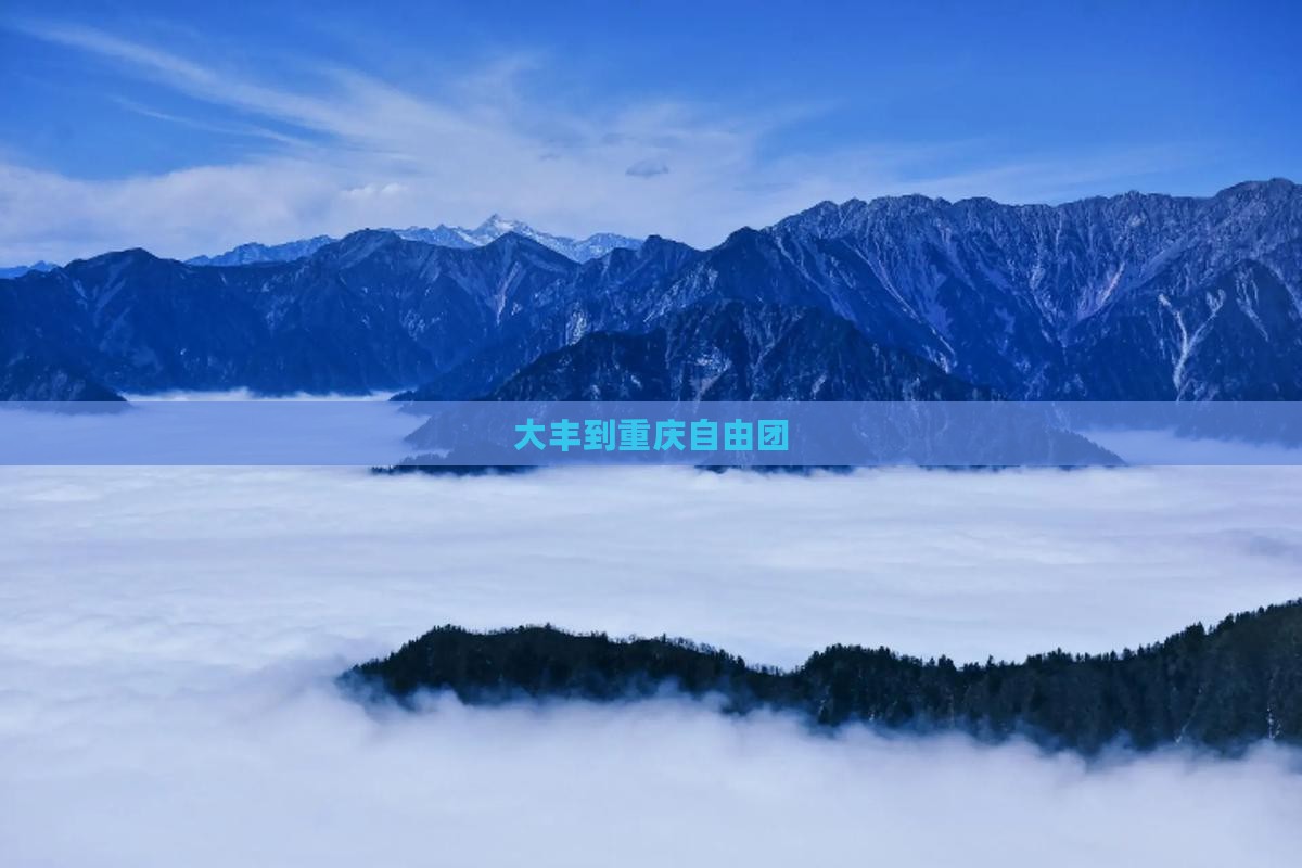 大丰到重庆自由团