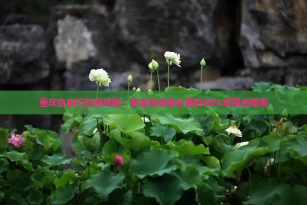 重庆自由行旅游攻略：秦皇岛游客必看的WFC观景台指南