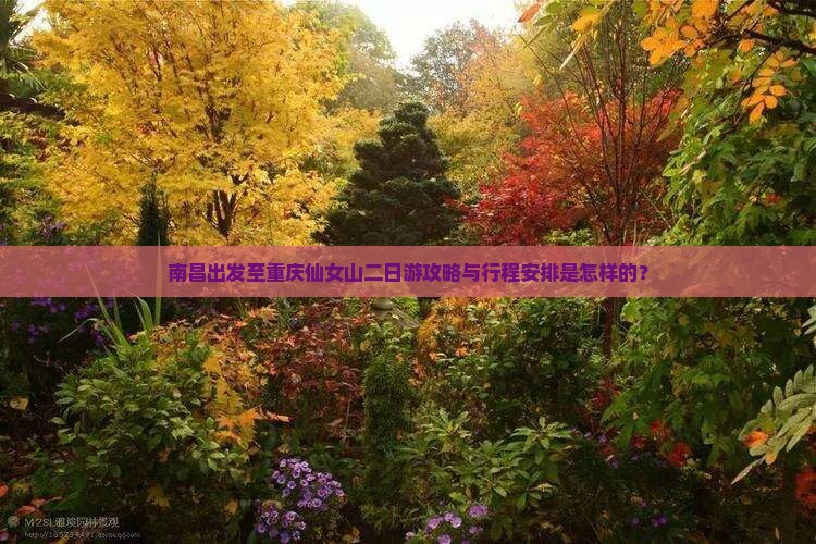 南昌出发至重庆仙女山二日游攻略与行程安排是怎样的？
