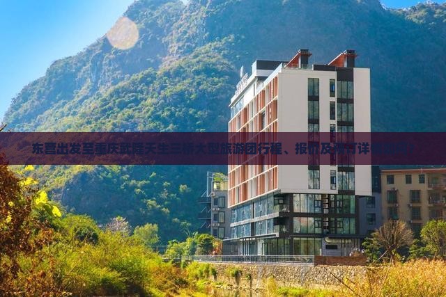 东营出发至重庆武隆天生三桥大型旅游团行程、报价及预订详情如何？