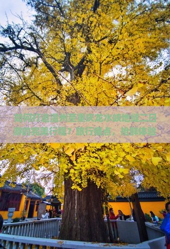 如何打造温州至重庆龙水峡地缝二日游的完美行程？旅行痛点，抢鲜体验新潮玩法！