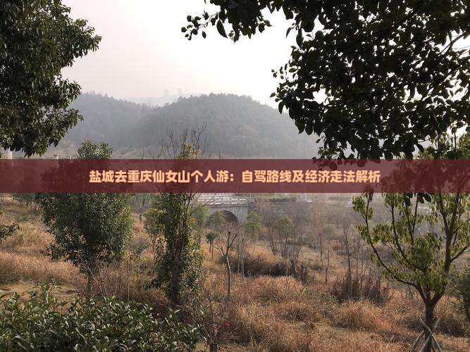 盐城去重庆仙女山个人游：自驾路线及经济走法解析