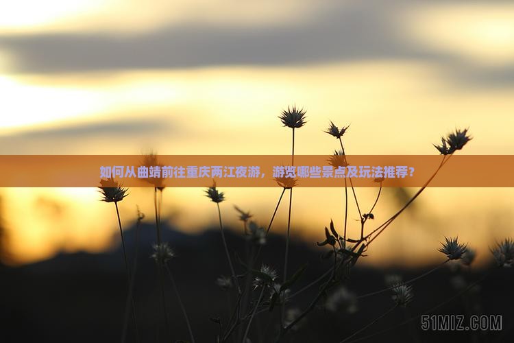 如何从曲靖前往重庆两江夜游，游览哪些景点及玩法推荐？