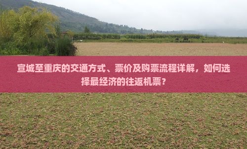 宣城至重庆的交通方式、票价及购票流程详解，如何选择最经济的往返机票？