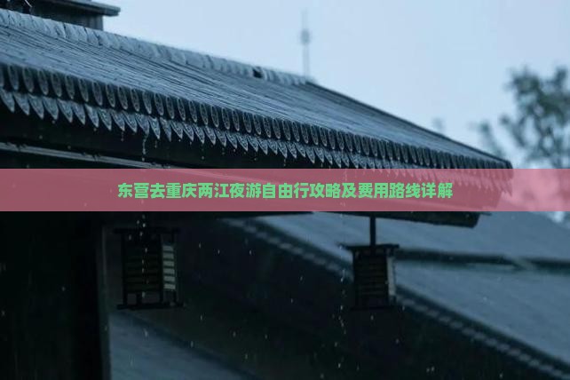 东营去重庆两江夜游自由行攻略及费用路线详解