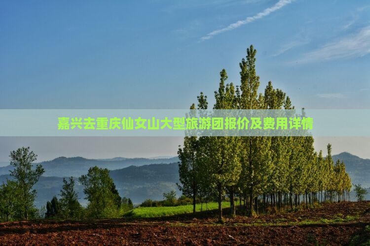 嘉兴去重庆仙女山大型旅游团报价及费用详情