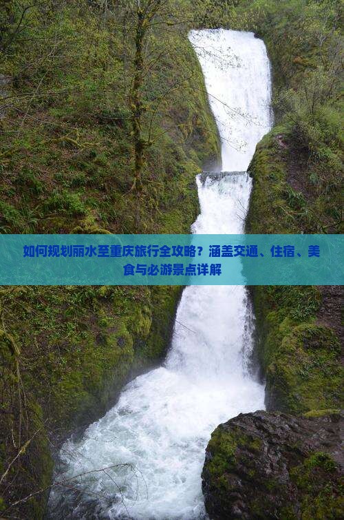 如何规划丽水至重庆旅行全攻略？涵盖交通、住宿、美食与必游景点详解