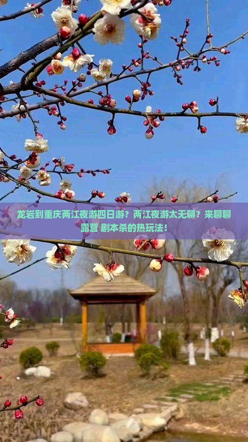 龙岩到重庆两江夜游四日游？两江夜游太无聊？来聊聊露营+剧本杀的热玩法！
