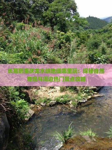 长葛到重庆龙水峡地缝哪里玩：探秘自然奇观与周边热门景点攻略
