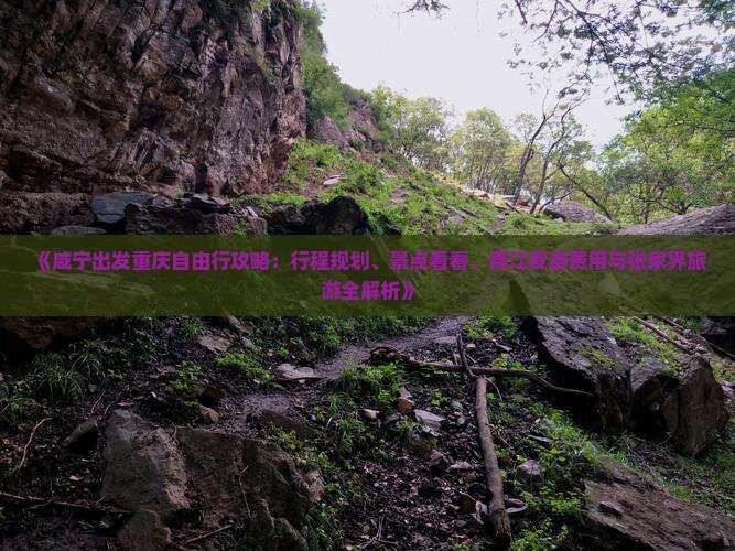 《咸宁出发重庆自由行攻略：行程规划、景点看看、两江夜游费用与张家界旅游全解析》