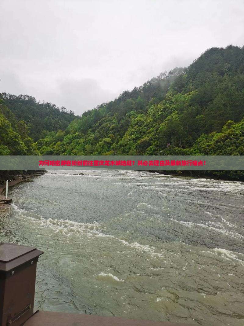 为何哈密游客纷纷前往重庆龙水峡地缝？其必去理由及最新旅行痛点！