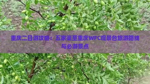 重庆二日游攻略：五家渠至重庆WFC观景台旅游路线与必游景点