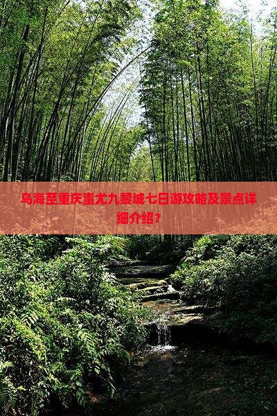 乌海至重庆蚩尤九黎城七日游攻略及景点详细介绍？