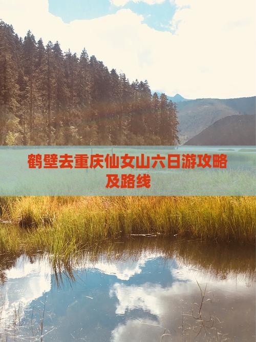 鹤壁去重庆仙女山六日游攻略及路线