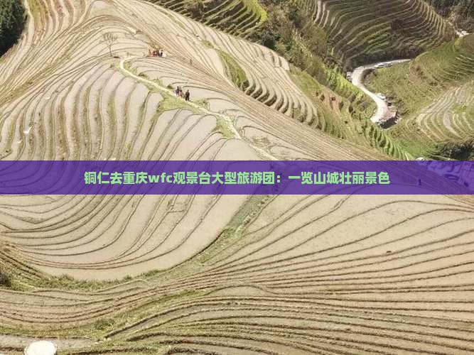 铜仁去重庆wfc观景台大型旅游团：一览山城壮丽景色
