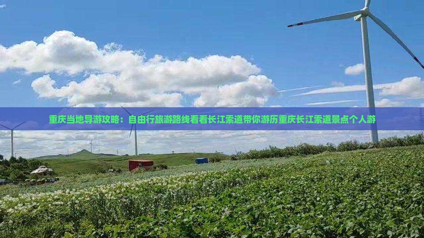 重庆当地导游攻略：自由行旅游路线看看长江索道带你游历重庆长江索道景点个人游