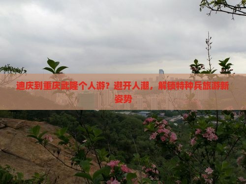 迪庆到重庆武隆个人游？避开人潮，解锁特种兵旅游新姿势