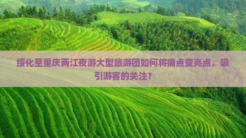 绥化至重庆两江夜游大型旅游团如何将痛点变亮点，吸引游客的关注？