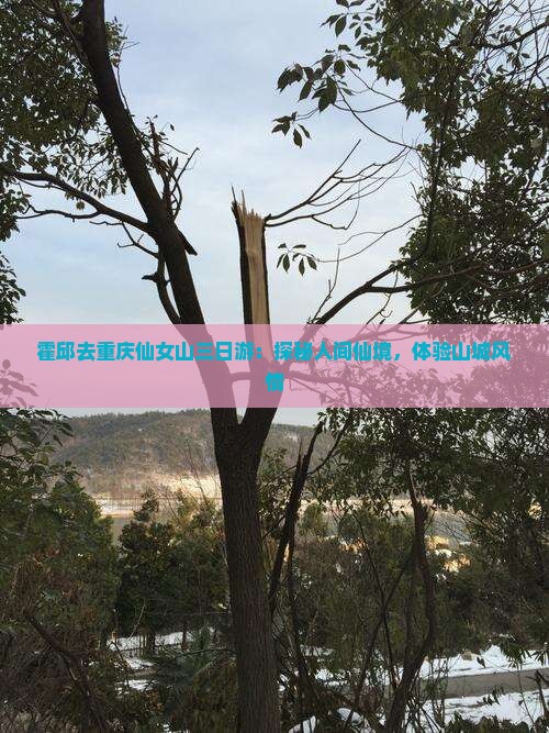 霍邱去重庆仙女山三日游：探秘人间仙境，体验山城风情