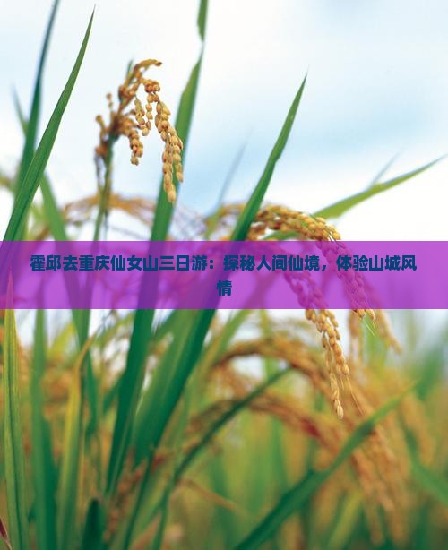 霍邱去重庆仙女山三日游：探秘人间仙境，体验山城风情