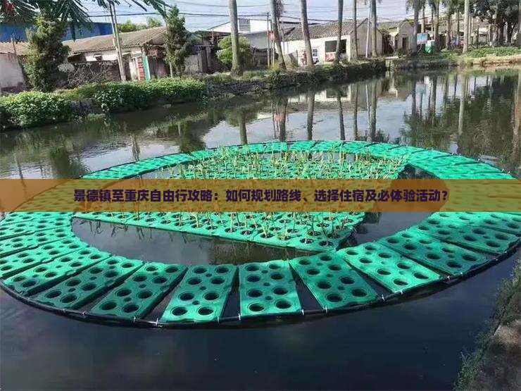 景德镇至重庆自由行攻略：如何规划路线、选择住宿及必体验活动？