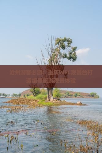 沧州游客必游：重庆WFC观景台打造绝美旅游观景体验