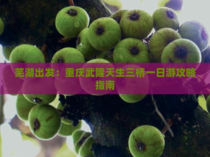 芜湖出发：重庆武隆天生三桥一日游攻略指南
