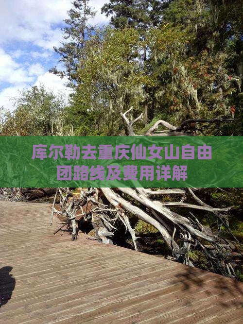 库尔勒去重庆仙女山自由团路线及费用详解