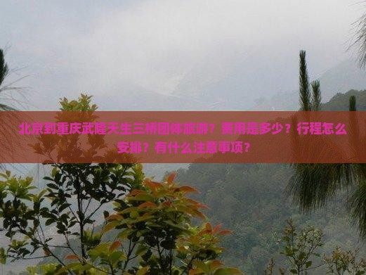 北京到重庆武隆天生三桥团体旅游？费用是多少？行程怎么安排？有什么注意事项？