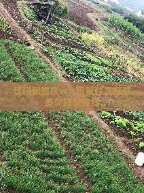 江门到重庆wfc观景台二日游多少钱及路线