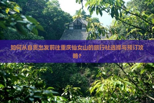 如何从自贡出发前往重庆仙女山的旅行社选择与预订攻略？