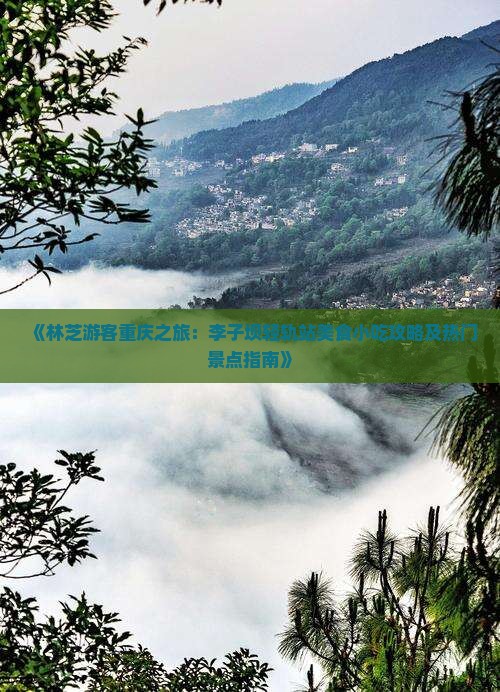 《林芝游客重庆之旅：李子坝轻轨站美食小吃攻略及热门景点指南》
