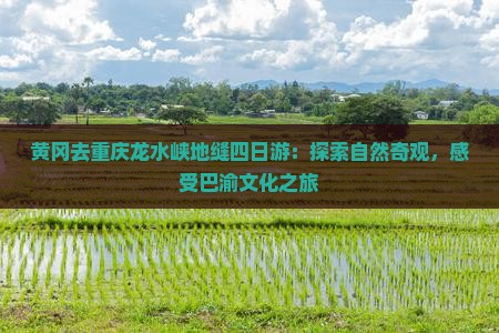 黄冈去重庆龙水峡地缝四日游：探索自然奇观，感受巴渝文化之旅