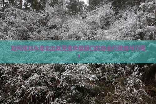 如何规划从淮北出发至重庆磁器口的自由行路线与行程？