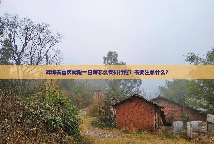 蚌埠去重庆武隆一日游怎么安排行程？需要注意什么？