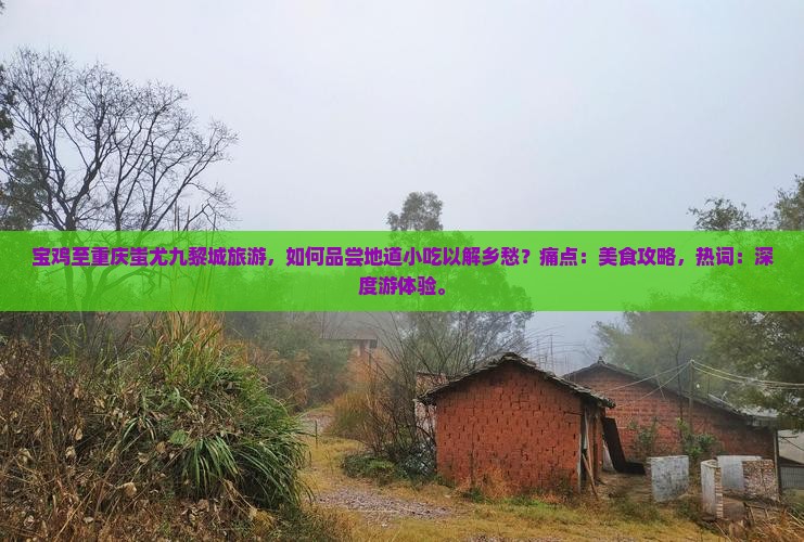 宝鸡至重庆蚩尤九黎城旅游，如何品尝地道小吃以解乡愁？痛点：美食攻略，热词：深度游体验。