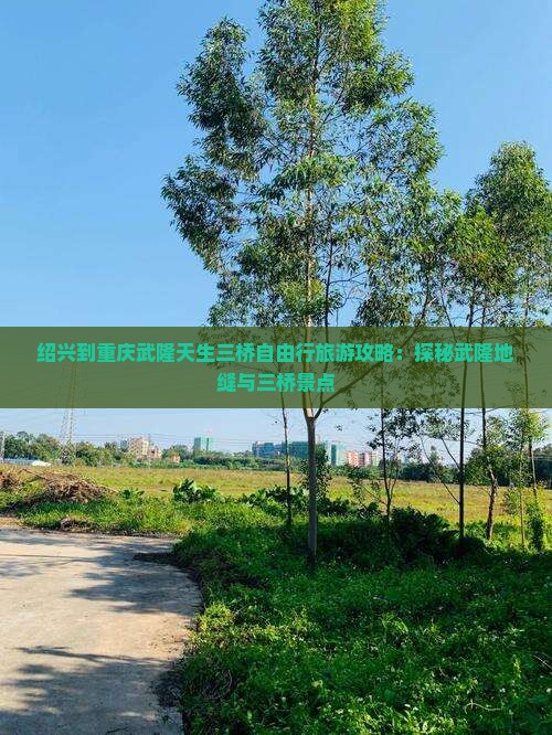 绍兴到重庆武隆天生三桥自由行旅游攻略：探秘武隆地缝与三桥景点