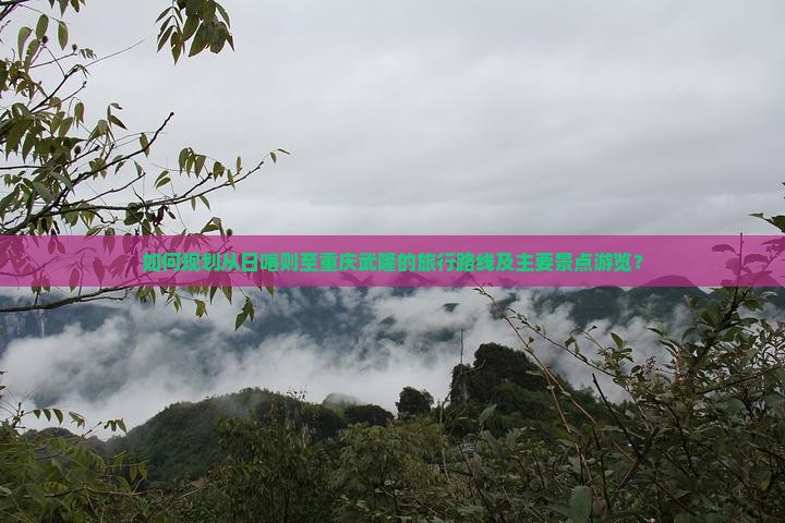 如何规划从日喀则至重庆武隆的旅行路线及主要景点游览？