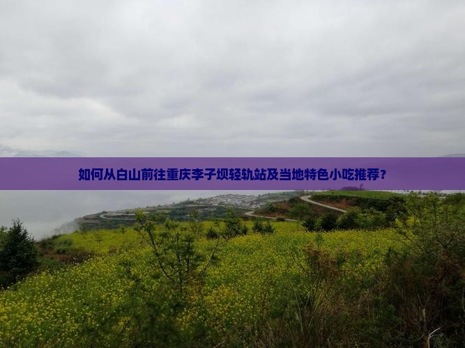 如何从白山前往重庆李子坝轻轨站及当地特色小吃推荐？