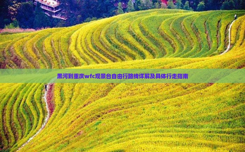 黑河到重庆wfc观景台自由行路线详解及具体行走指南