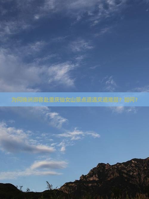 为何株洲游客赴重庆仙女山景点遭遇交通难题？如何？