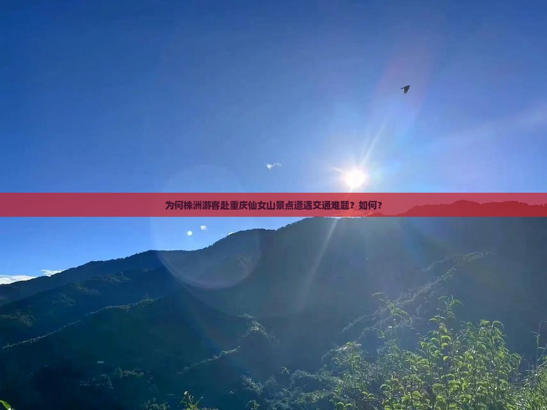 为何株洲游客赴重庆仙女山景点遭遇交通难题？如何？