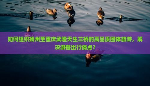 如何组织扬州至重庆武隆天生三桥的高品质团体旅游，解决游客出行痛点？